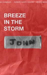 Breeze in the Storm