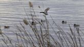 Una reserva de la biosfera con respaldo social pese a las dudas