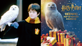 These Harry Potter Advent Calendars Are Selling Out Fast—Get a Hedwig Pop-Up, Hogwarts Ornaments & More