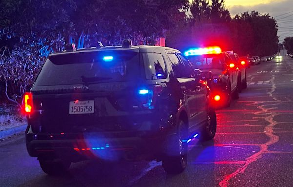 Pregnant mother of 4 children is killed in California's Silicon Valley