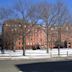 University Museum (Harvard University)