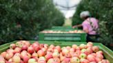 ProducePay raises $38M to tackle produce supply chain waste