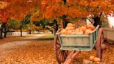 Why The Holiday Hayride Is A Beloved Southern Tradition