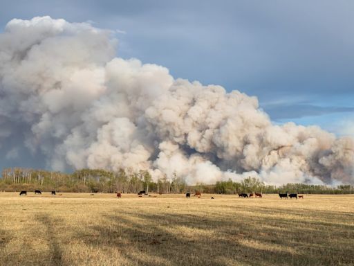 Smoke clouds northern Alberta as wildfires burn near Fort McMurray, Grande Prairie