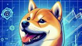 Shiba Inu Marketing Lead Hints at SHIB ETF Launch: 4 Benefits and 5 Drawbacks Revealed - EconoTimes