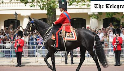 How the King’s favourite horse will show his return to strength in Trooping the Colour