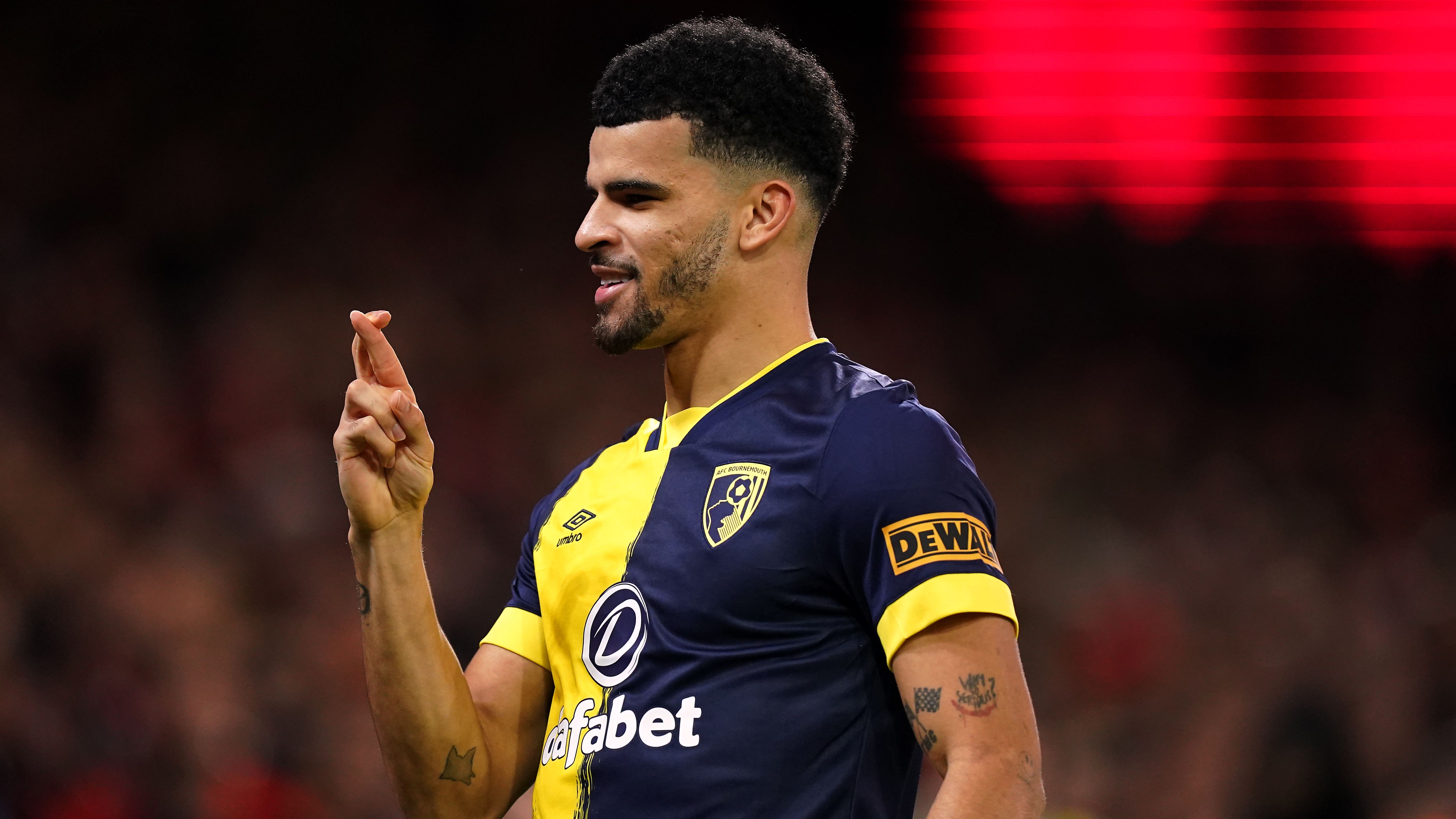 Dominic Solanke can help push Tottenham into top four – Les Ferdinand