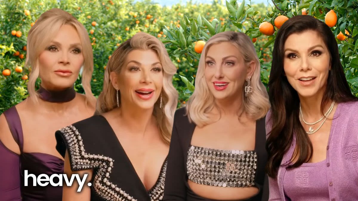 RHOC Star Accepts 'Mean Girl' Label in Response to Co-Stars' Relationship Claims