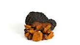 Ingredients in Focus: Chaga mushrooms set to sprout in growth