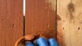 Homeowner reveals 49p trick that'll make painting your fence 'so easy & fast'