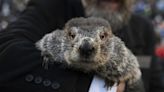 Punxsutawney Phil makes his 2024 Groundhog Day prediction