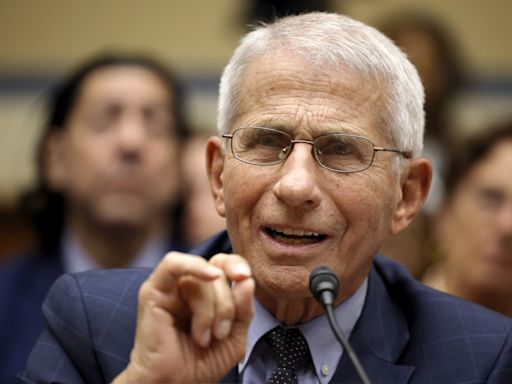 Anthony Fauci heckled by audience during appearance before Congress