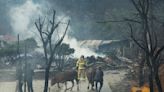 1 dead, hundreds flee wildfire in South Korean seaside city