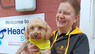 Owner of much-loved therapy dog to undertake 33-mile walking challenge