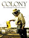 Colony (film)