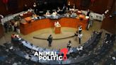 Ley de Amparo: lo que debes saber de las reformas avaladas en el Senado