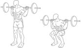 Squat (exercise)