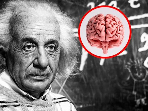 ¿Quién se robó el cerebro de Albert Einstein? Fue un acto macabro