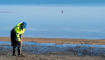 La laguna salada más grande de Europa está en España, pero al borde del colapso medioambiental