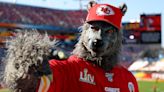 Kansas City Chiefs superfan 'ChiefsAholic' lands on city's 'Most Wanted' list