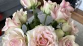 I Tried "Fluffing" Roses Like a Florist, But I Might Leave It to the Pros—Here's Why