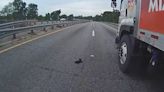 Police officer, truck driver rescue kitten from middle of Florida highway