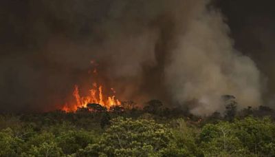 Incêndios na Amazônia podem acelerar colapso do bioma