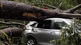 3 dead in Louisiana as storms rolled through south