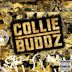 Collie Buddz