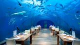 The Most Unusual Places To Dine On All 7 Continents