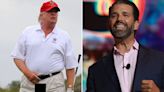 Donald Trump Jr. lashed out at the Mar-a-Lago affidavit by posting an image of a black box over his father's crotch: 'Redact this!!!'