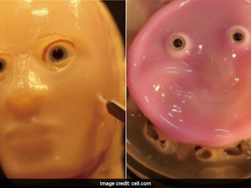 Scientists Create Smiling Robot Face Made Of Living Human Skin Cells