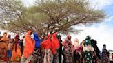Agência da ONU se une aos EUA e suspende ajuda alimentar à Etiópia após desvios