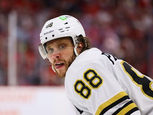 Bruins' David Pastrnak Reveals Amazing Wedding Photos