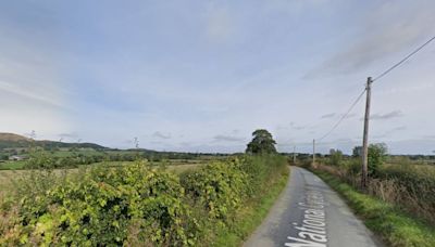 Rural dwellings will be built near border of Shropshire and Powys after appeal win