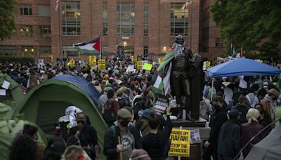 Hundreds arrested at pro-Palestine student protests across the US