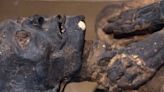 Mummies study finds heart disease plagued the ancients, too