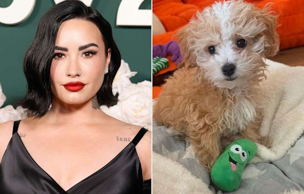 Demi Lovato and Fiancé Jordan 'Jutes' Lutes Share Cute Photos of Their New Dog Pickle