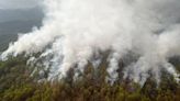 Emergencia en pueblos chontales de Oaxaca por incendios forestales; ayuda del gobierno es insuficiente