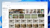 Windows 11 預覽版將相片 app 的「圖庫」顯示帶到了檔案總管上