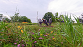 Springfest at Perryville Battlefield happening Saturday - The Advocate-Messenger