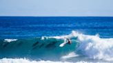 ‘Magical’ moment as surfer shares wave with pod of dolphins as she wins first world championship tour event