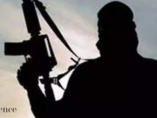 Continued Taliban tolerance of terrorist groups sets conditions for terrorism to project into neighbouring states: UN report - The Economic Times