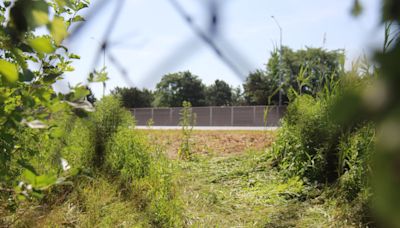 Animal sanctuary searching for sheep on the lam near E.C. Row Expressway