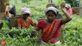 India's tea prices soar as extreme weather slashes output