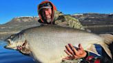 Fisherman catches big-bellied, world-record-size lake trout