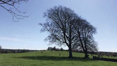 Why Irish field names and local placenames need to be recorded