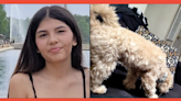 14-year-old reported missing after taking family dog for walk in Loudoun County