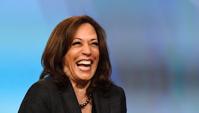 ‘Brat summer’ and Venn diagrams: Kamala Harris’s campaign capitalizes on Gen-Z humor