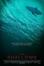 The Shallows (film)